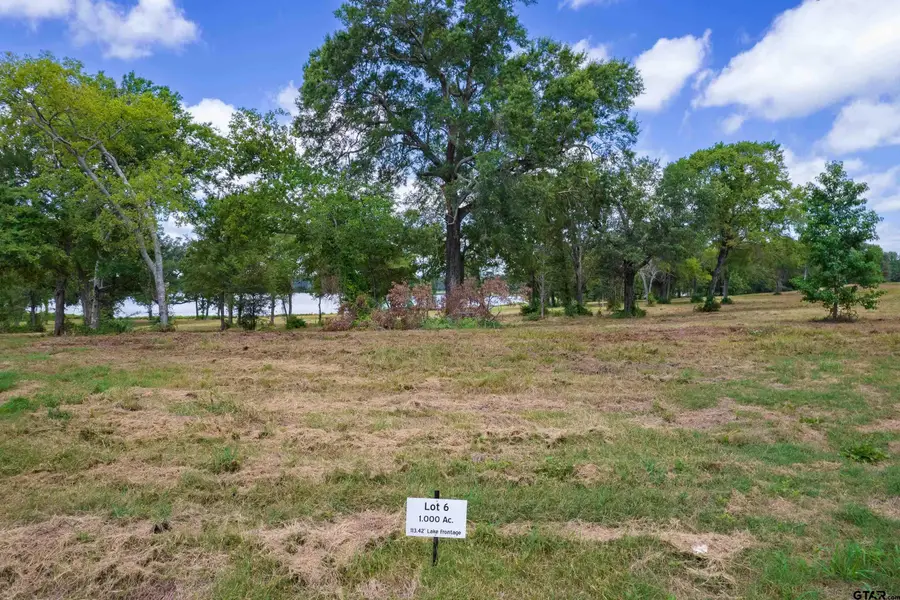 TBD LOT 6 Carolina Way, Mount Pleasant, TX 75455 - Image #3