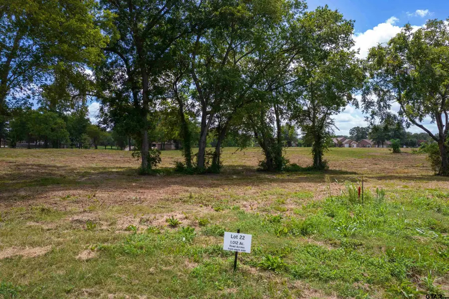 TBD LOT 22 Carolina Way, Mount Pleasant, TX 75455 - Image #3
