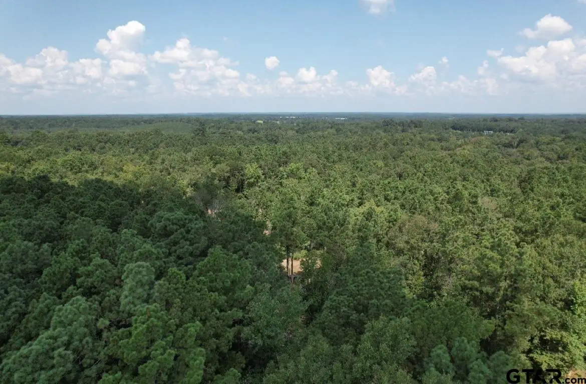 TBD CR 3704, Joaquin, TX 75954 - Image #1