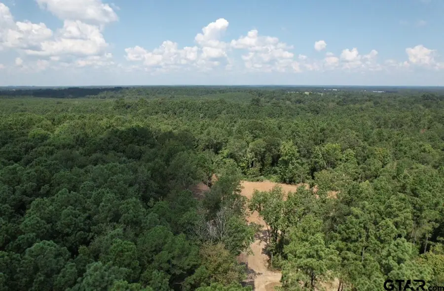 TBD CR 3704, Joaquin, TX 75954 - Image #2