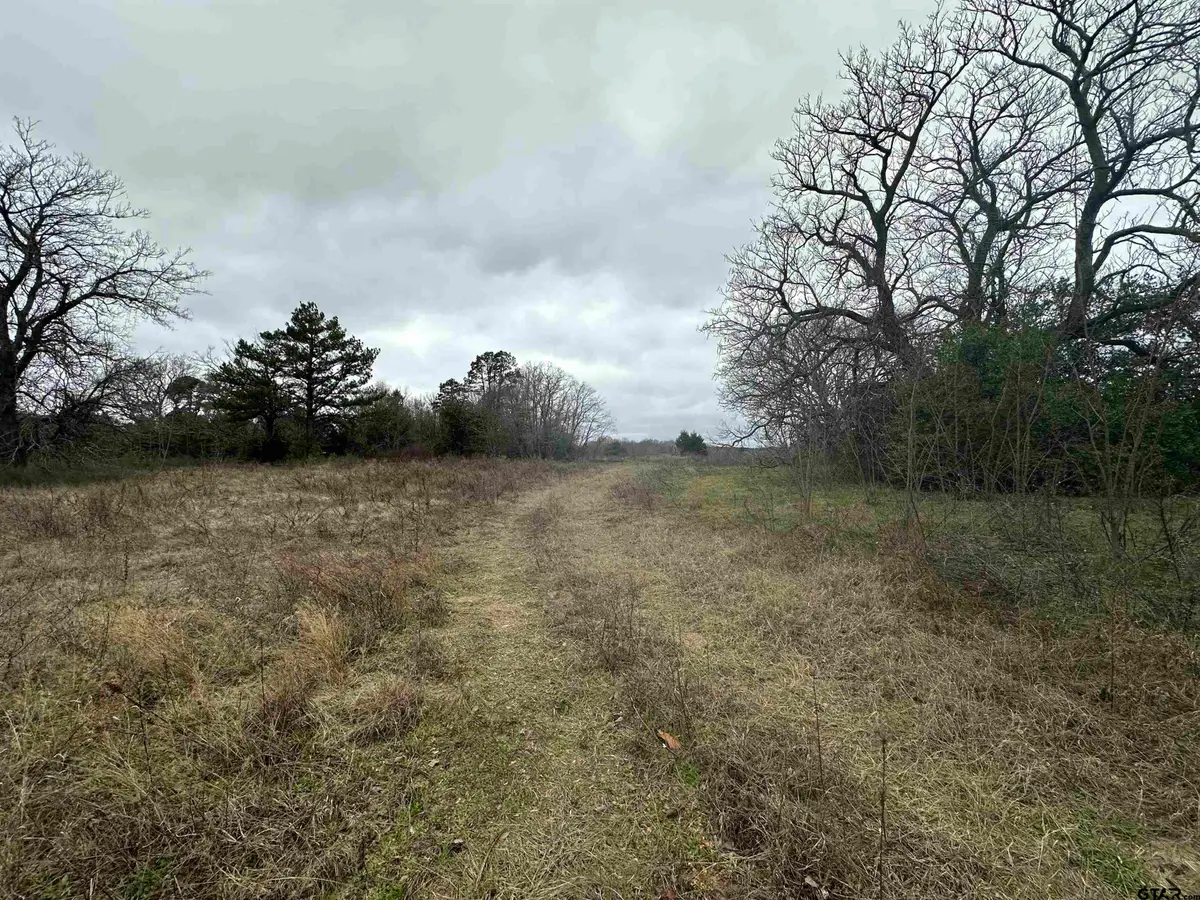 20245 FM 1804 (Hoard Rd), Lindale, TX 75771 - #1