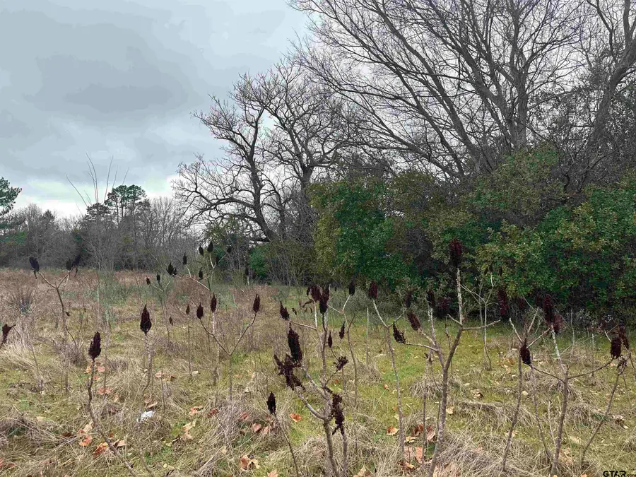 20245 FM 1804 (Hoard Rd), Lindale, TX 75771 - #2