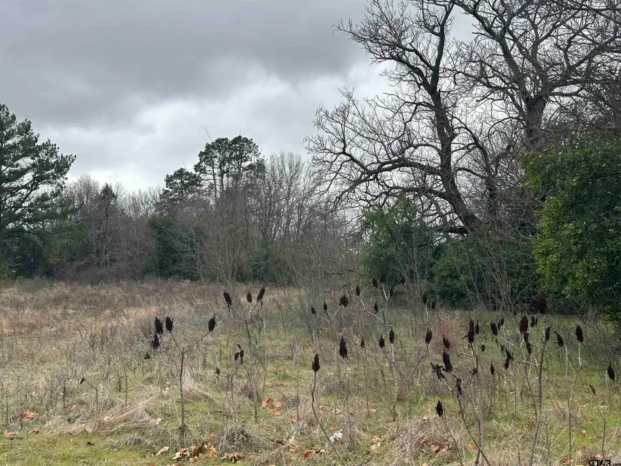 20245 FM 1804 (Hoard Rd), Lindale, TX 75771 - #3