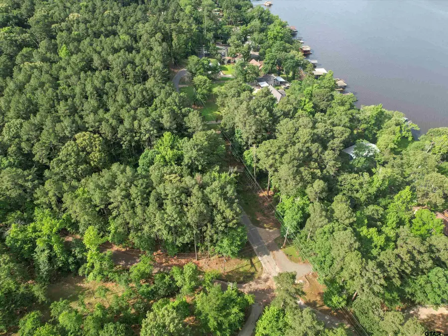 TBD Lot 1 E Lake Dr, Gladewater, TX 75647 - Image #3