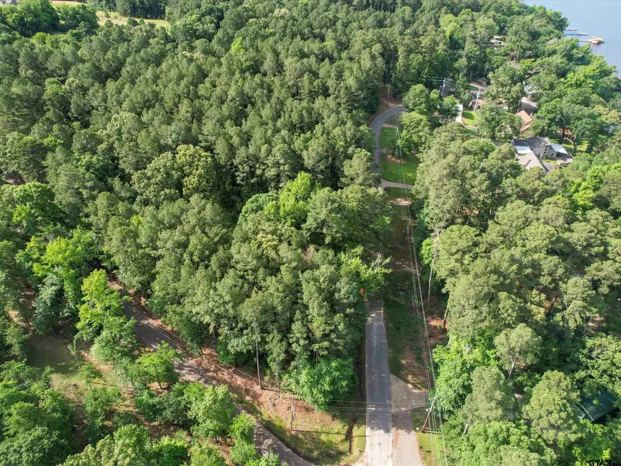 TBD LOT 3 E LAKE DR, Gladewater, TX 75647 - Image #2