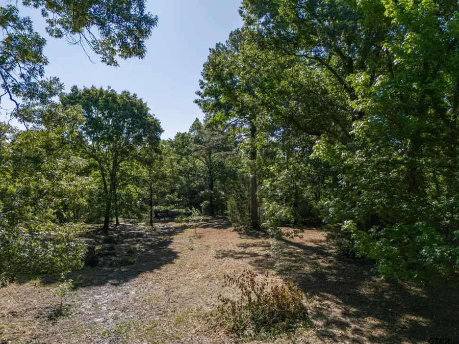 TBD CR 1600, Alba, TX 75410 - Image #2