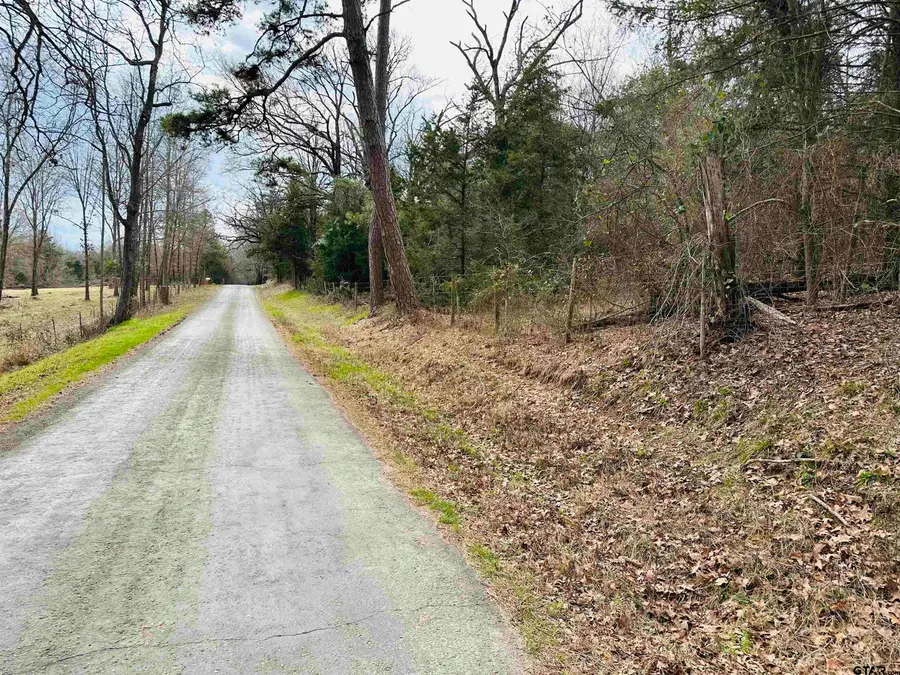 TBD SW CR 3270, Winnsboro, TX 75494 - Image #2