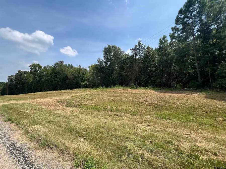 TBD FM 1520, Pittsburg, TX 75686 - #2