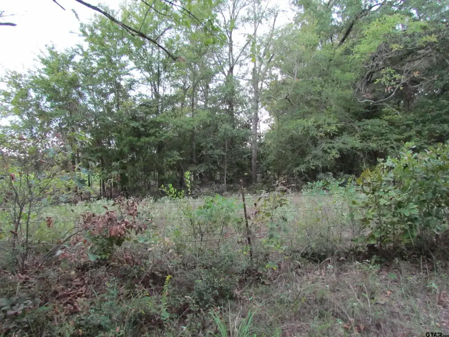 TBD VZCR 1924, Fruitvale, TX 75127 - Image #3