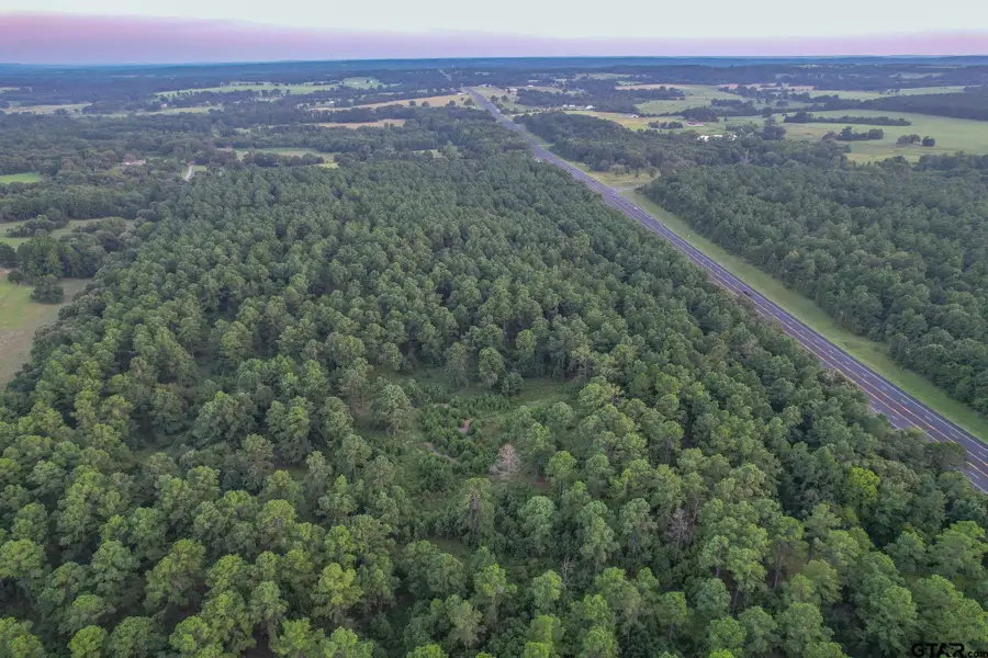 Tract 1 Hwy 155, Frankston, TX 75763 - Image #2