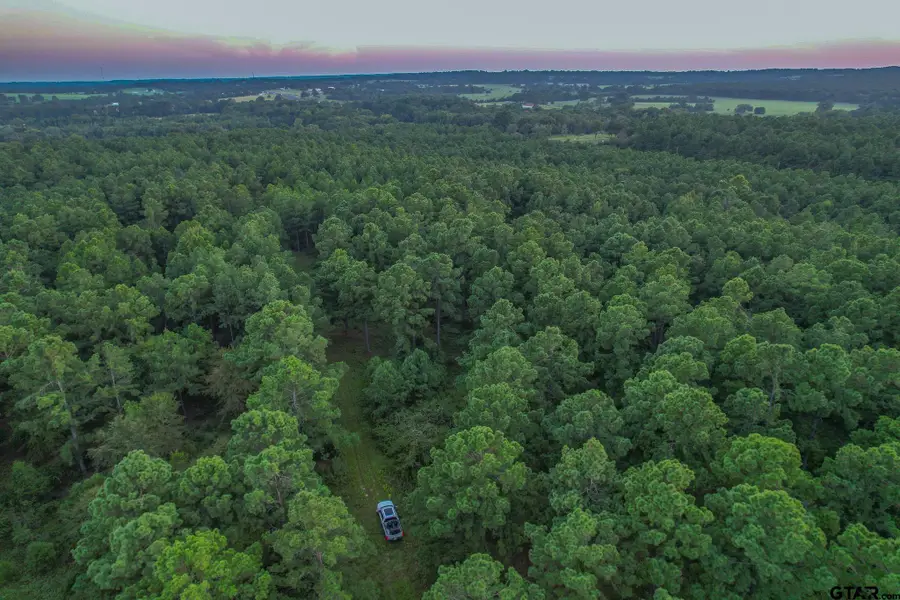 Tract 2 Hwy 155, Frankston, TX 75763 - Image #2