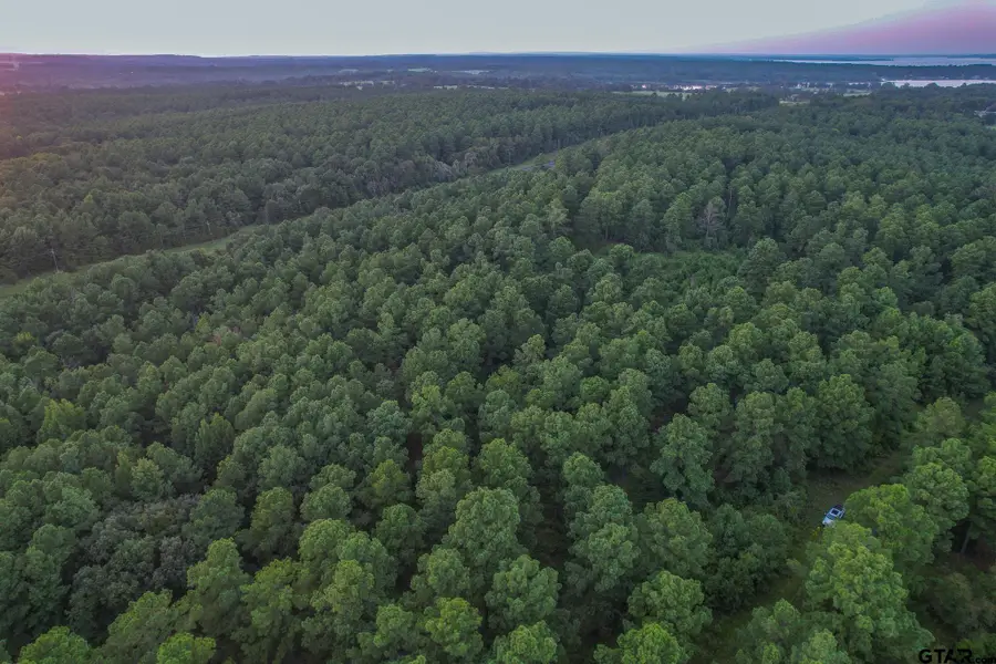 Tract 2 Hwy 155, Frankston, TX 75763 - Image #3