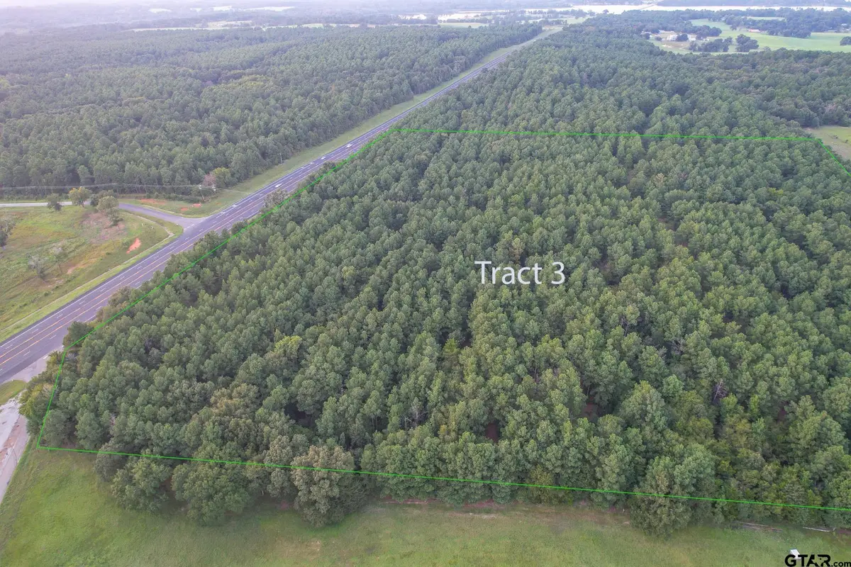 Tract 3 Hwy 155, Frankston, TX 75763 - Image #1