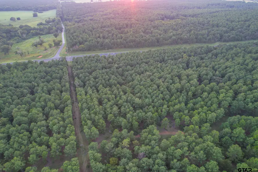 Tract 3 Hwy 155, Frankston, TX 75763 - Image #2