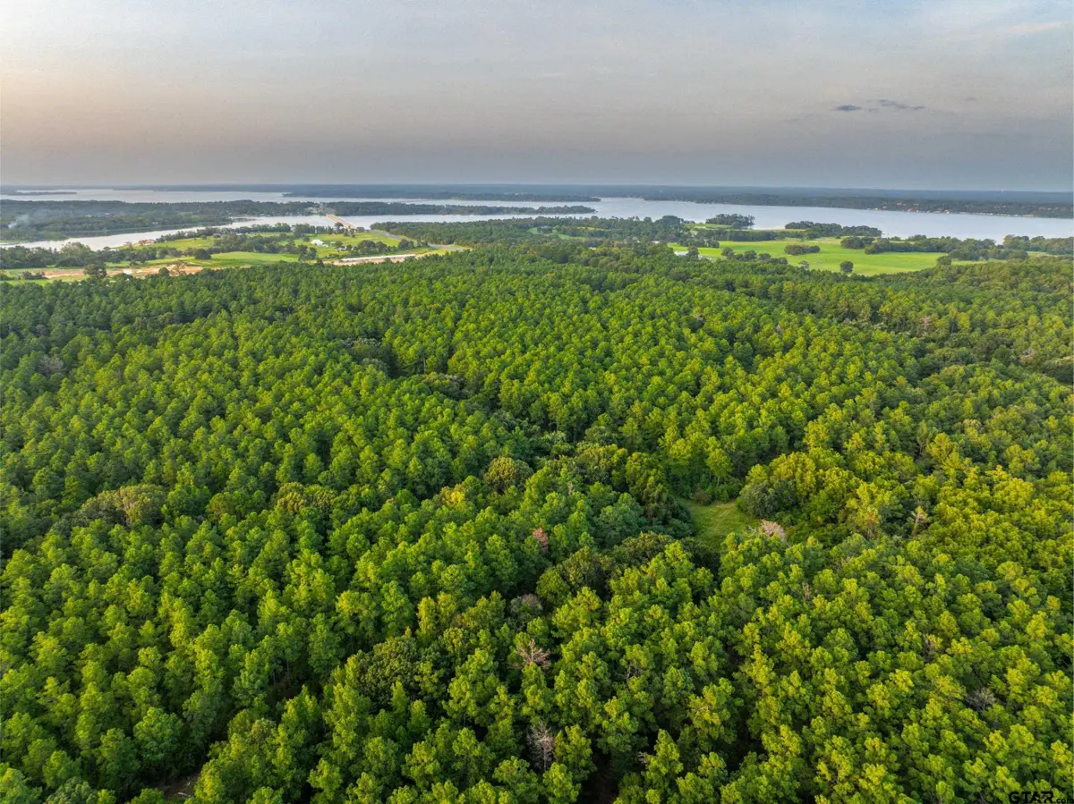 Tract 5 Hwy 155, Frankston, TX 75763 - Image #1