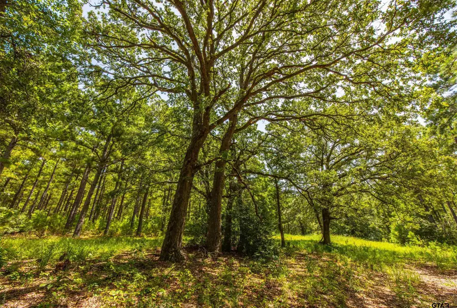 Tract 5 Hwy 155, Frankston, TX 75763 - Image #3