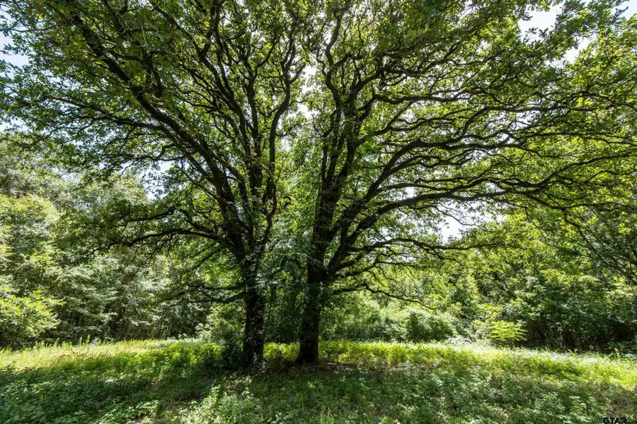 Tract 6 Hwy 155, Frankston, TX 75763 - Image #3