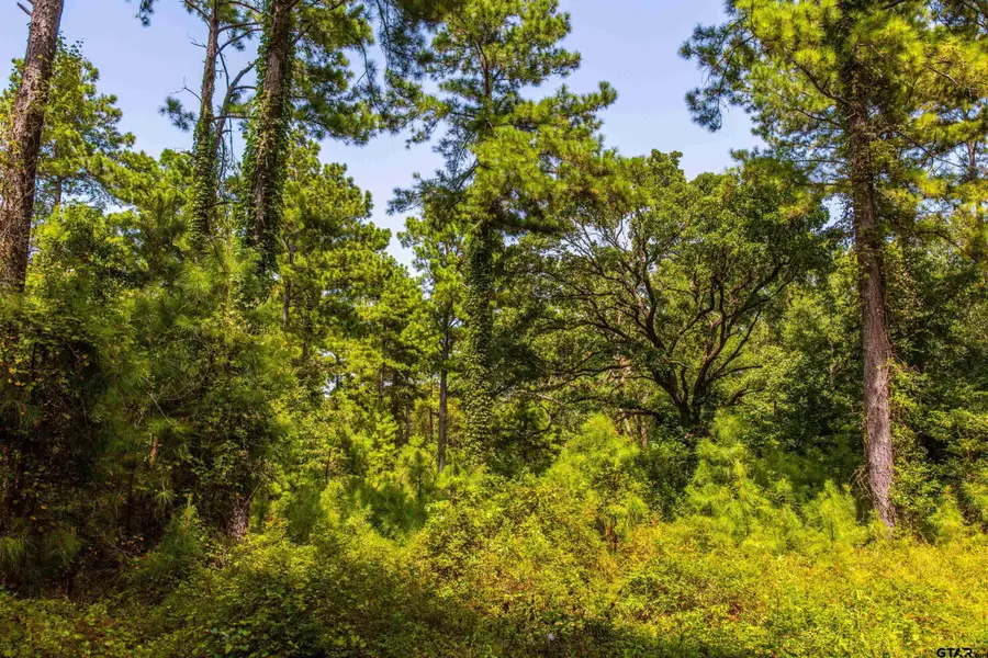 Tract 7 CR 4221, Frankston, TX 75763 - Image #3