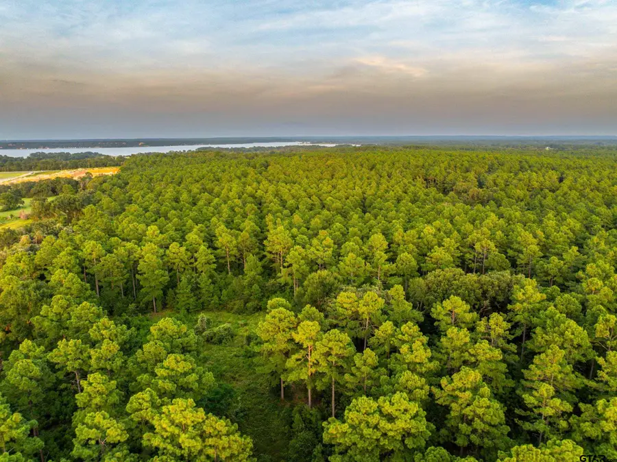 Tract 8 CR 4221, Frankston, TX 75763 - Image #2