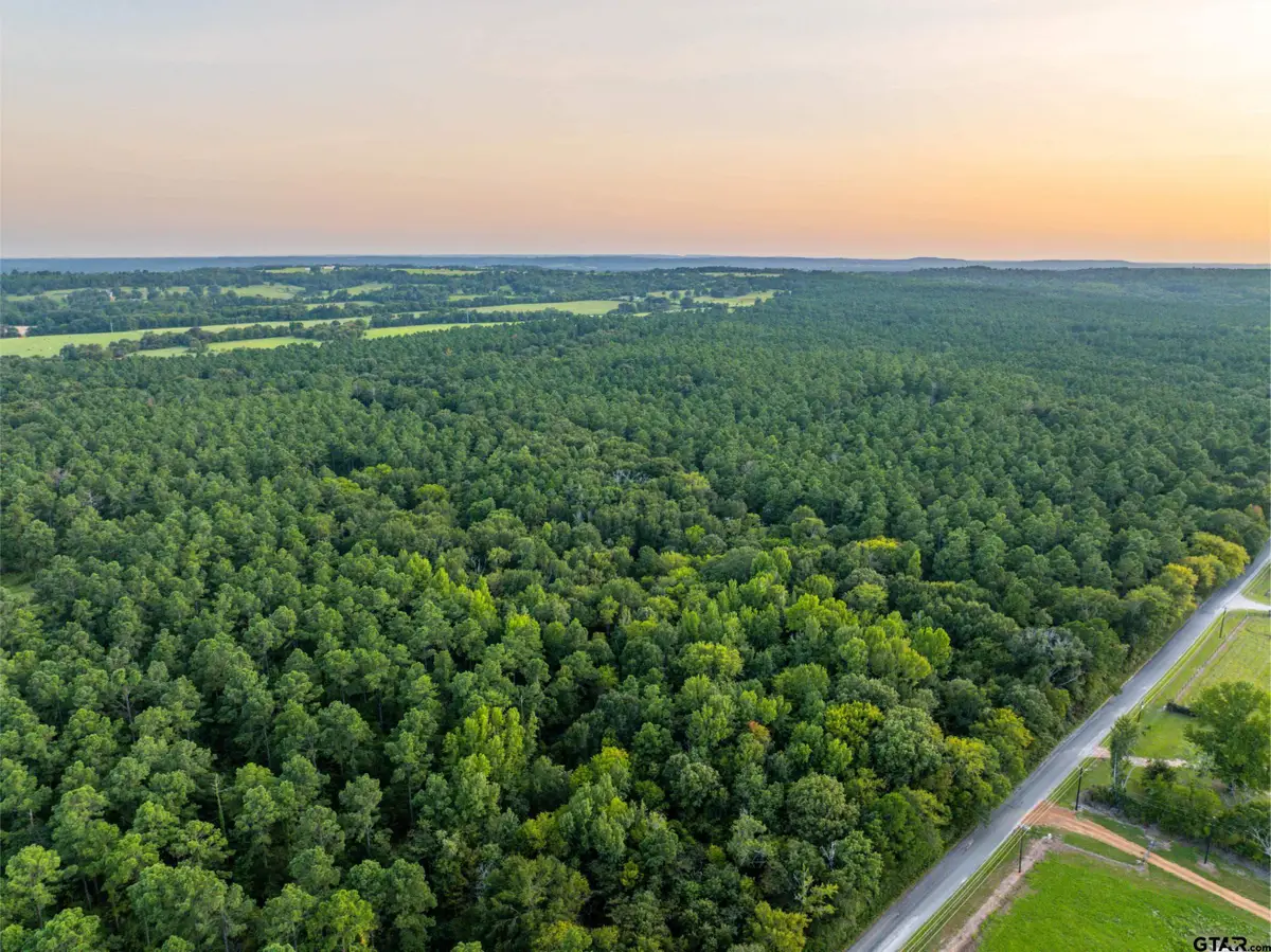 Tract 10 CR 4222, Frankston, TX 75763 - Image #1