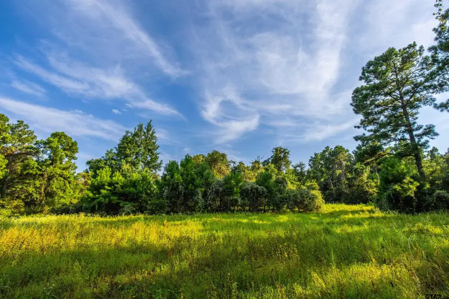 Tract 11 CR 4222, Frankston, TX 75763 - Image #2