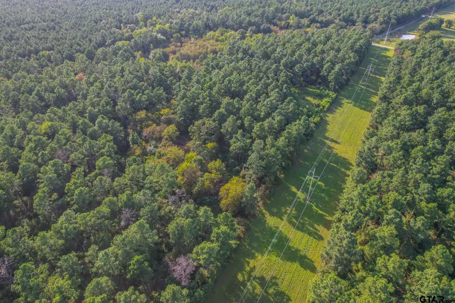 Tract 14 CR 4224, Frankston, TX 75763 - Image #2