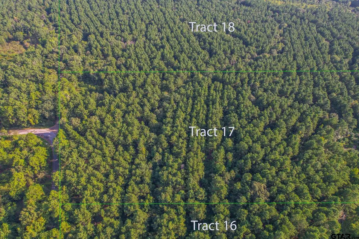 Tract 17 CR 4224, Frankston, TX 75763 - Image #1