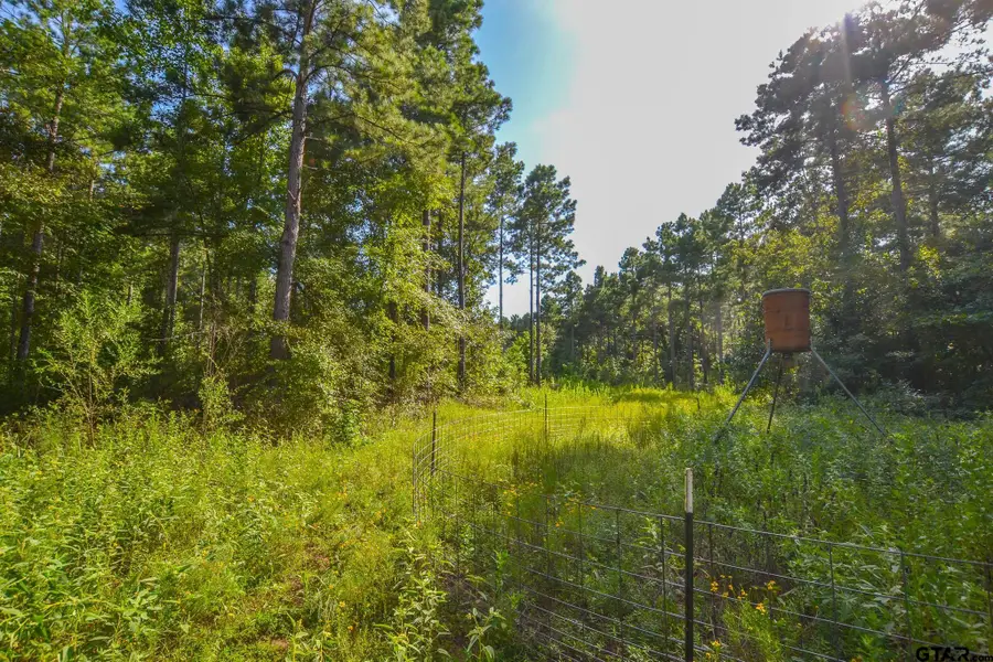 Tract 17 CR 4224, Frankston, TX 75763 - Image #3