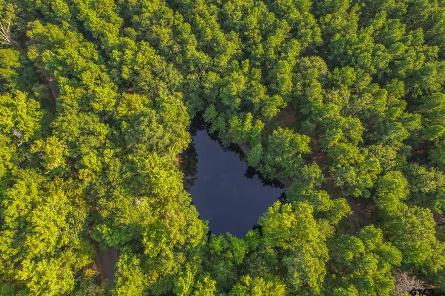 Tract 18 CR 4224, Frankston, TX 75763 - Image #2