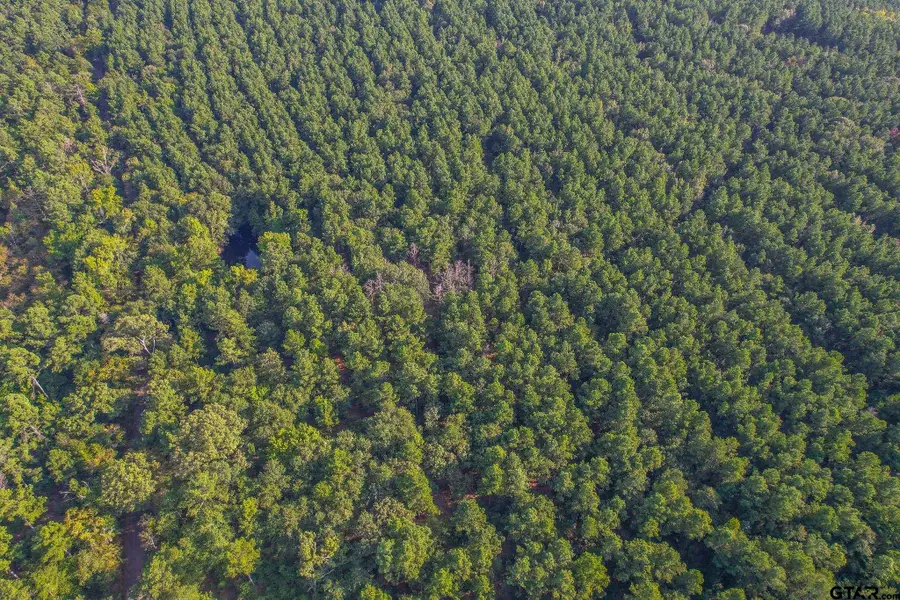 Tract 18 CR 4224, Frankston, TX 75763 - Image #3