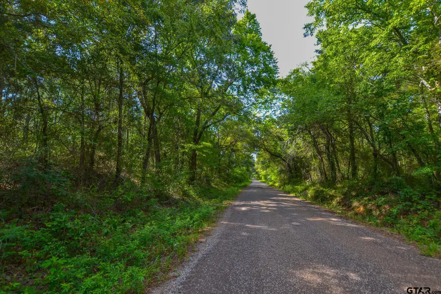 Tract 19 CR 4224, Frankston, TX 75763 - Image #2