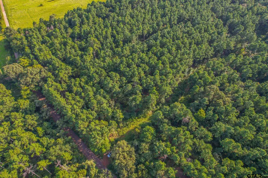 Tract 21 CR 4224, Frankston, TX 75763 - Image #3