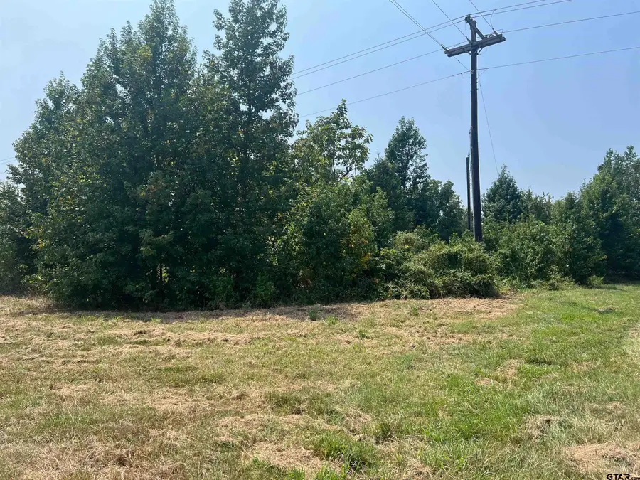 TBD FM 1402, Mount Pleasant, TX 75455 - #2