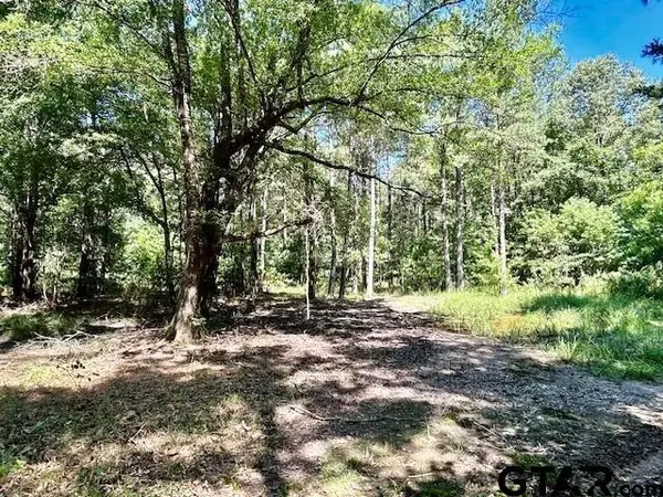 75 Acres Hwy 37, Clarksville, TX 75426