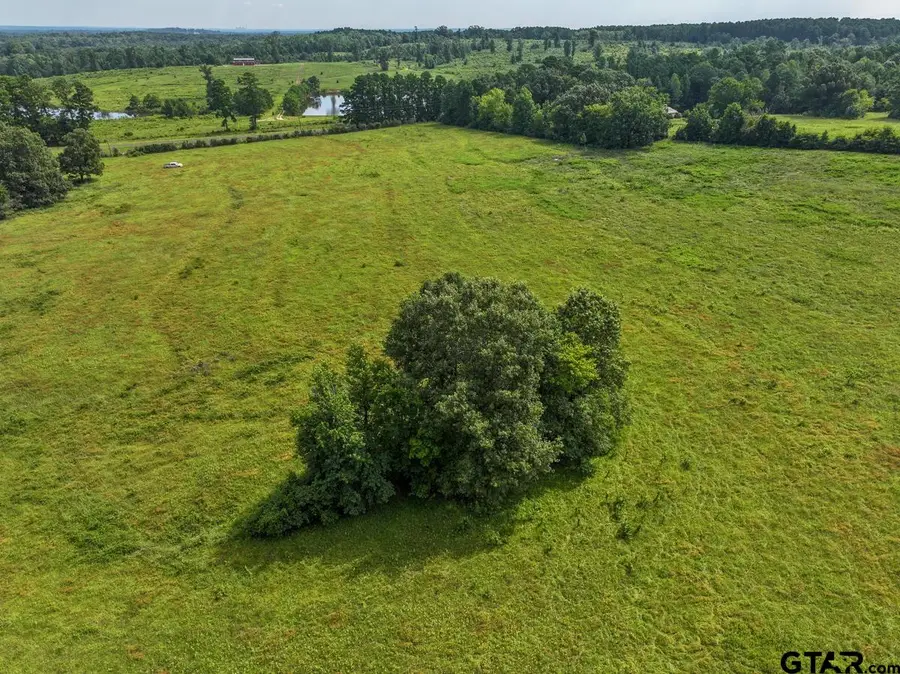 01 FM 2867, Henderson, TX 75654 - Image #3