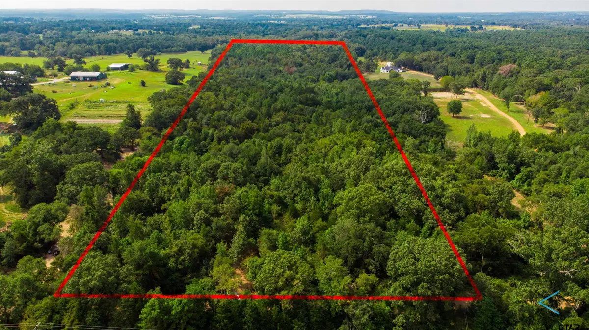 TBD CR 3606, Brownsboro, TX 75756 - #1