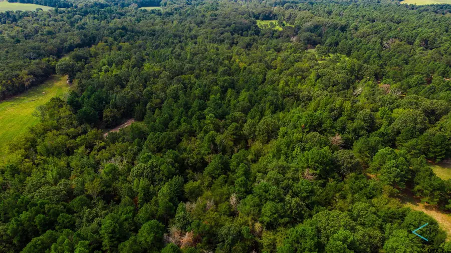 TBD CR 3606, Brownsboro, TX 75756 - #2