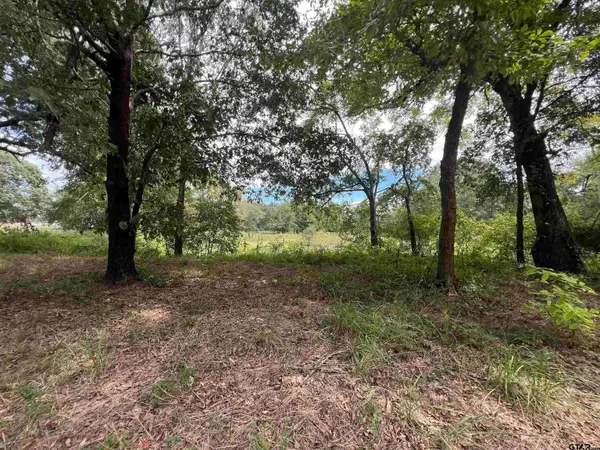 14694 C R 424, Lindale, TX 75771