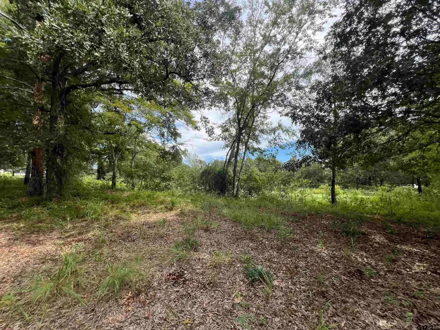 14694 C R 424, Lindale, TX 75771 - #3