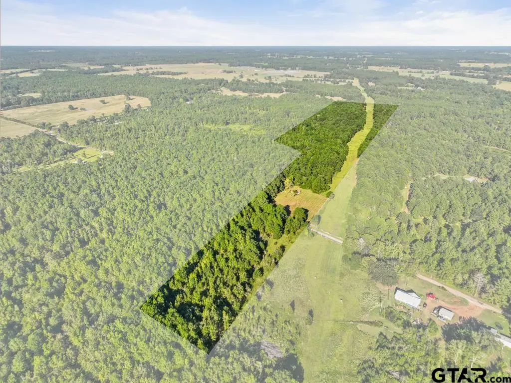 545 CR 4224, Troup, TX 75789 - Image #1