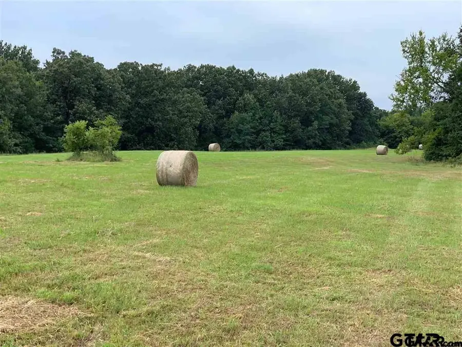 TBD Cecelia, Mount Pleasant, TX 75455 - Image #3