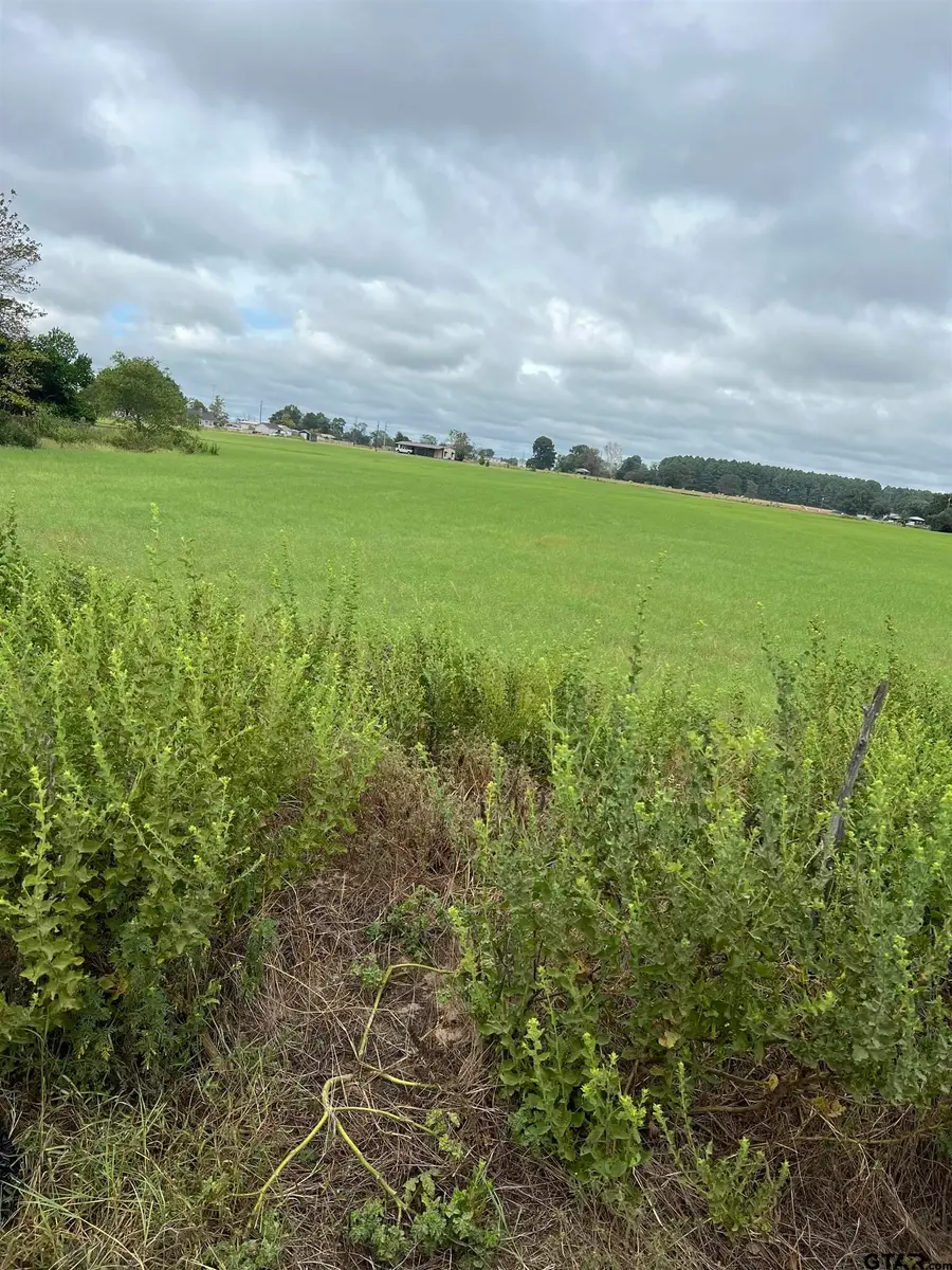 14044 C R 4122, Lindale, TX 75771 - #2