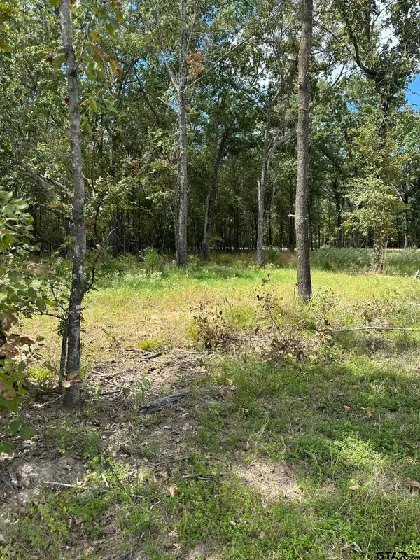 Lot 21 Angler Shores Drive, Yantis, TX 75497