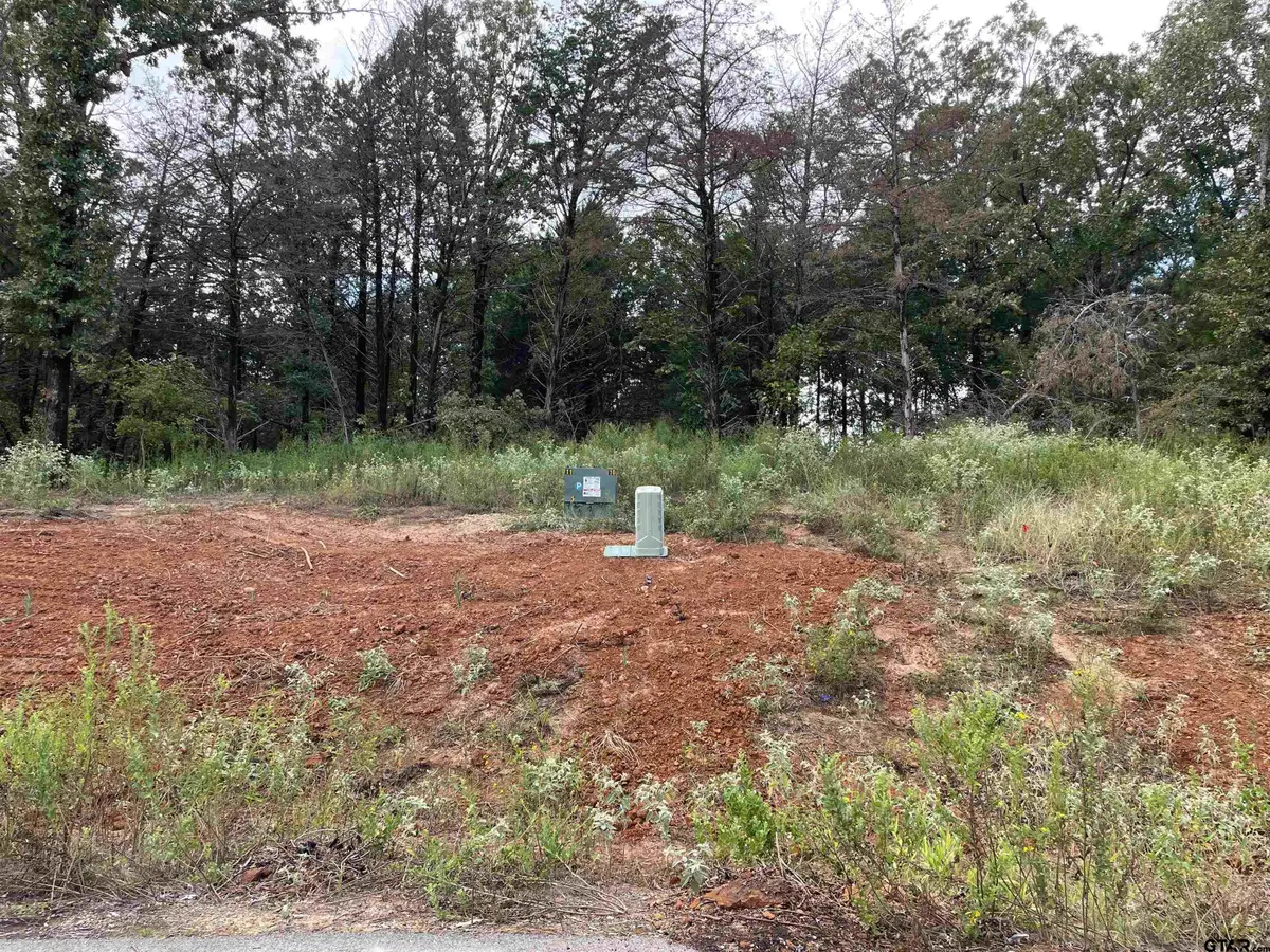 Tbd Cedarpark Place Lot 20, Lindale, TX 75771 - #1