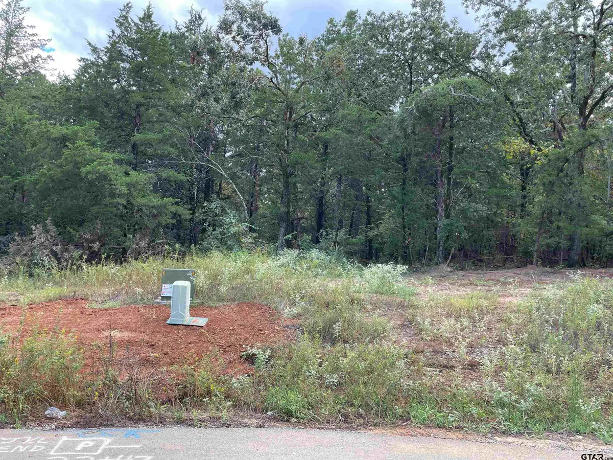 Tbd Cedarpark Place Lot 22, Lindale, TX 75771 - #1