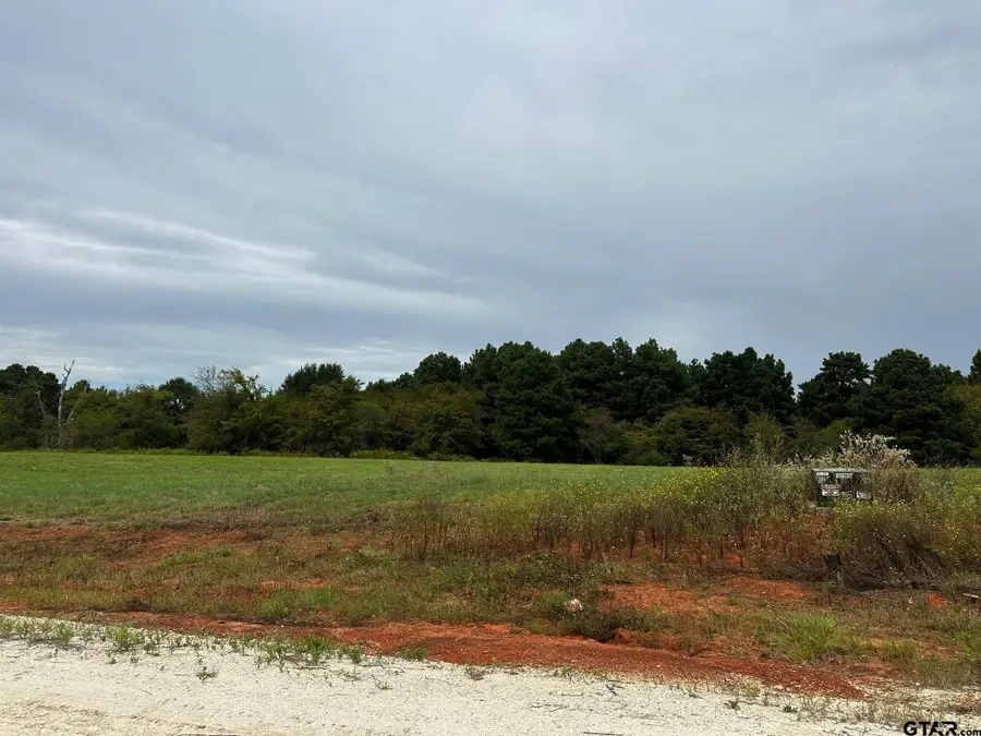 16724 CAELI HEIGHTS COURT (LOT 13), Winona, TX 75792 - Image #3