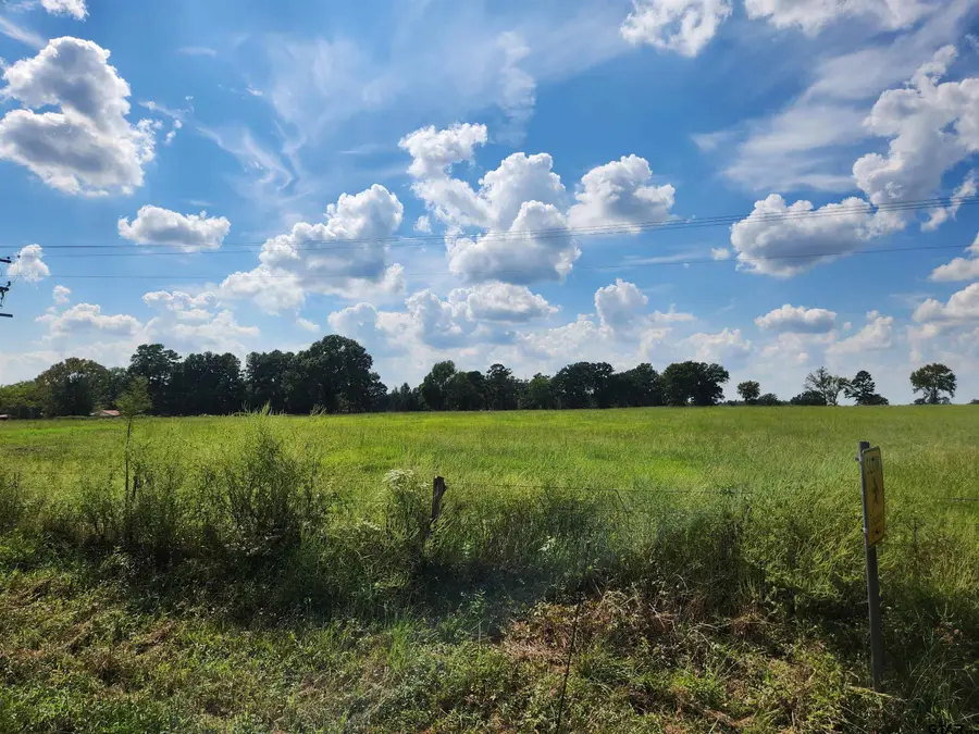 TBD CR 3249, Mount Pleasant, TX 75455 - #2