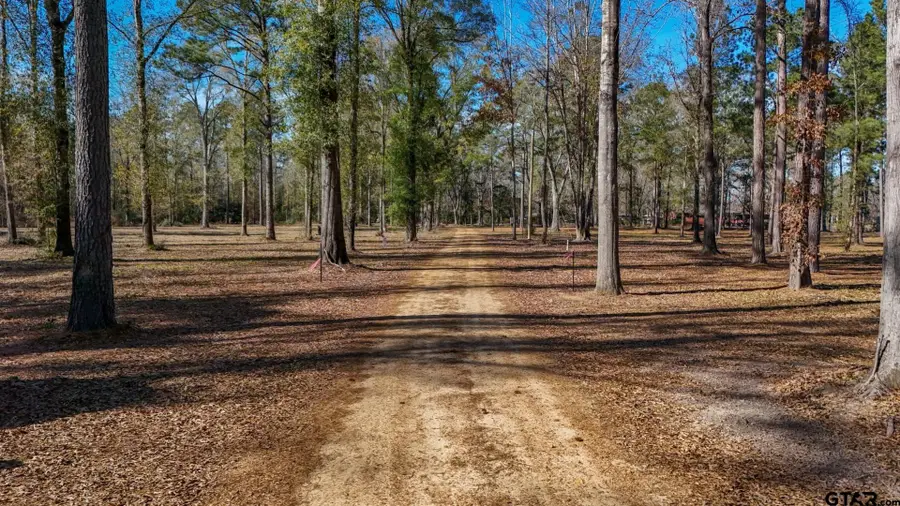 TBD (Lot 3) County Road 3545, Joaquin, TX 75954 - Image #2