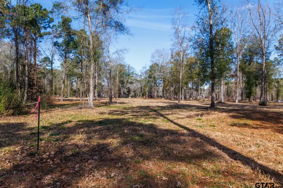 TBD (Lot 4) County Road 3545, Joaquin, TX 75954 - Image #2