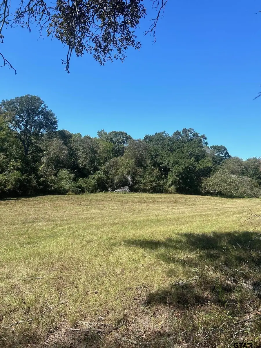 TBD FM 607 S, Murchison, TX 75778 - Image #2